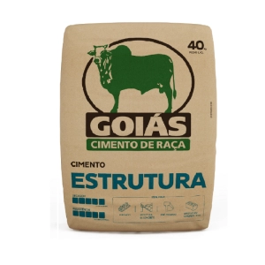 Cimento CPII F40 Estrutura 40kg Goiás